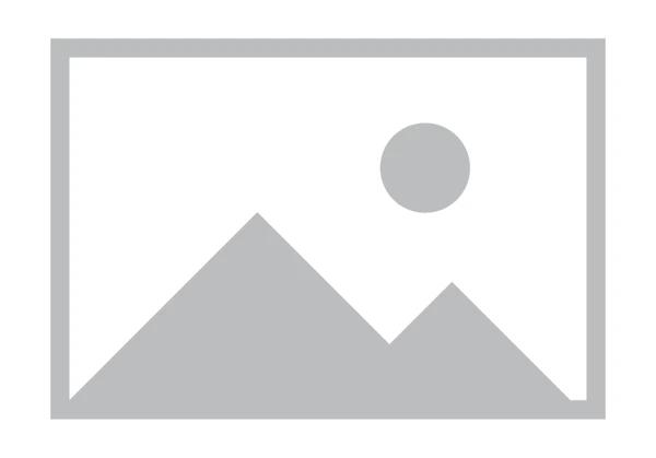 Festival Mustahik Dalam Rangka HUT-22 BAZNAS